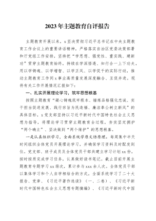 2023年主题教育自评报告