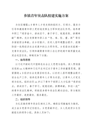 乡镇青年突击队组建实施方案