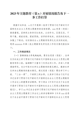 2023年主题教育（第x）开展情况报告及下一步工作打算