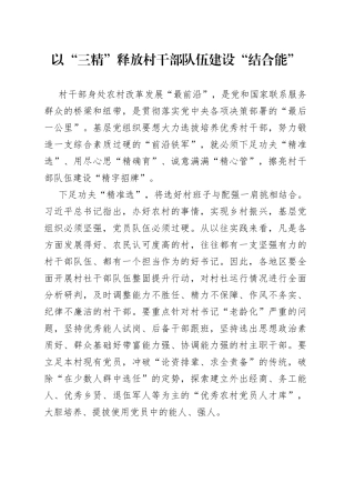 以“三精”释放村干部队伍建设“结合能”