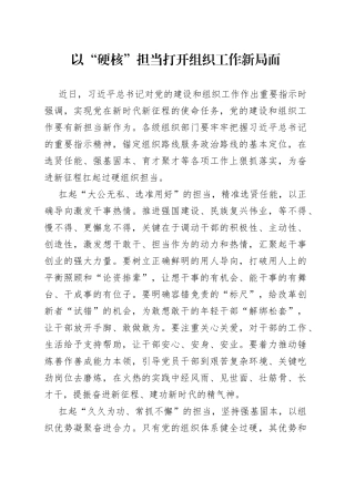 以“硬核”担当打开组织工作新局面