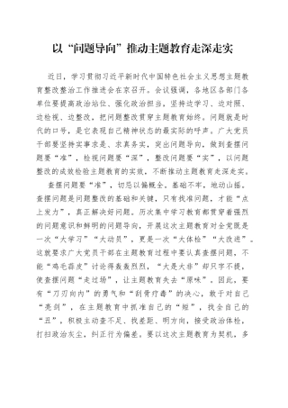 以“问题导向”推动主题教育走深走实