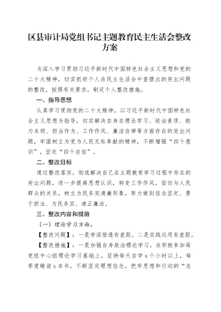 区县审计局党组书记主题教育民主生活会整改方案