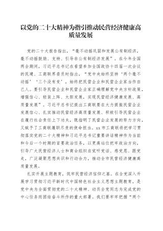 以党的二X大精神为指引 推动民营经济健康高质量发展