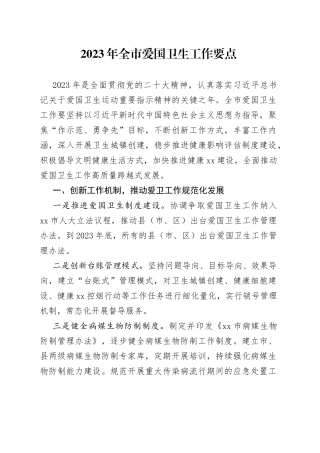 2023年全市爱国卫生工作要点（20230428）