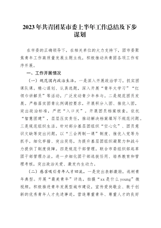 2023年共青团市委上半年工作总结及下步谋划