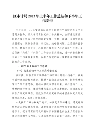区审计局2023年上半年工作总结和下半年工作安排