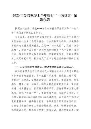 2023年分管领导上半年履行“一岗双责”情况报告