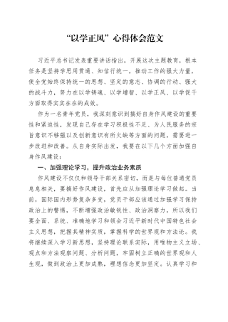 以学正风心得体会（主题教育）