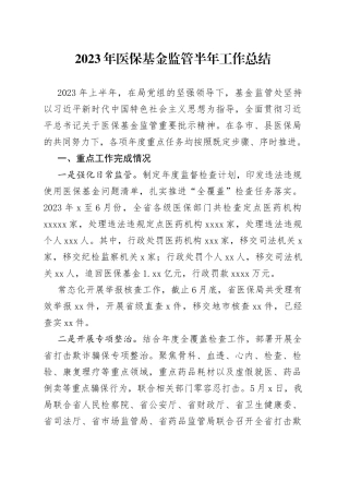 2023年医保基金监管半年工作总结
