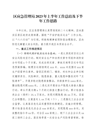 区应急管理局2023年上半年工作总结及下半年工作思路（20230705）