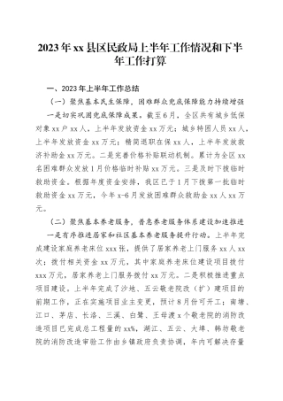 2023年县区民政局上半年工作情况和下半年工作打算（20230629）