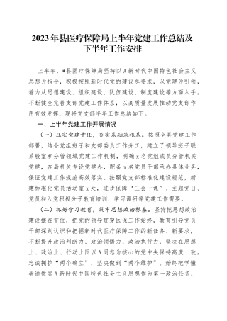 2023年县医疗保障局上半年党建工作总结及下半年工作安排