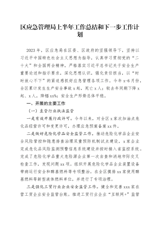 区应急管理局上半年工作总结和下一步工作计划（20230630）