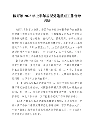区开展2023年上半年基层党建重点工作督导调研（20230723）