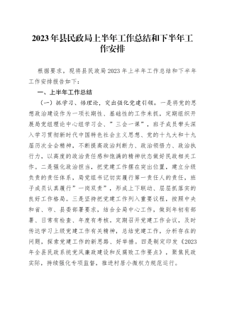 2023年县民政局上半年工作总结和下半年工作安排