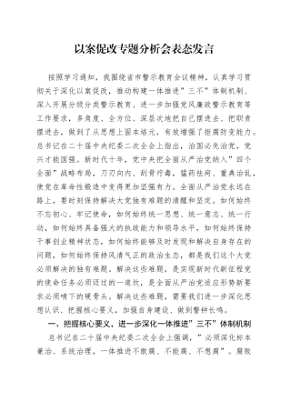 以案促改专题分析会表态发言