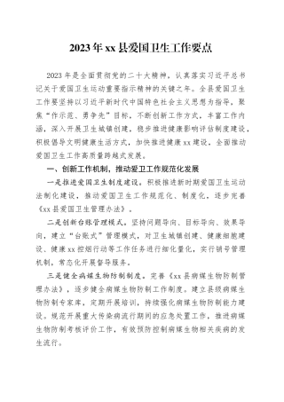 2023年县爱国卫生工作要点（20230510）