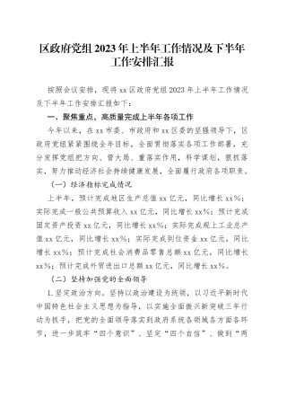 区政府党组2023年上半年工作情况及下半年工作安排汇报