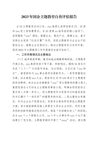 2023年国企主题教育自查评估报告