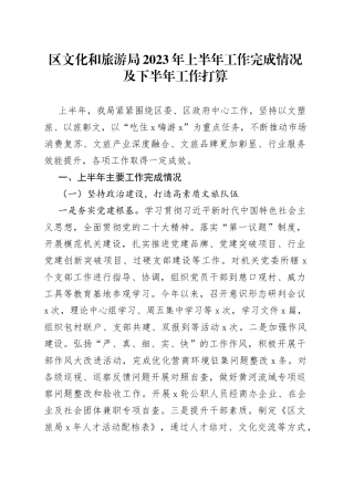 区文化和旅游局2023年上半年工作完成情况及下半年工作打算