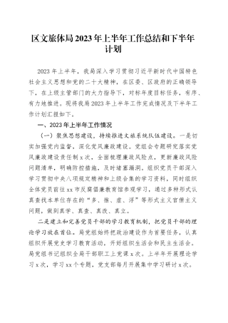 区文旅体局2023年上半年工作总结和下半年计划