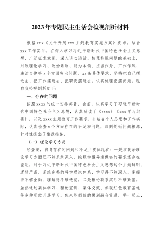 2023年在专题民主生活会检视剖析材料