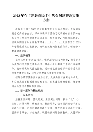 2023年在主题教育民主生活会问题整改实施方案