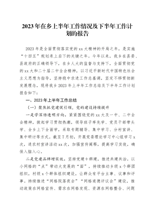 2023年在乡上半年工作情况及下半年工作计划的报告