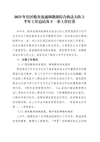 2023年在区粮食流通和能源综合执法大队上半年工作总结及下一步工作打算