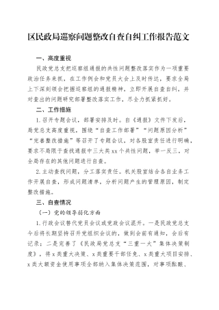 区民政局巡察问题整改自查自纠工作报告总结汇报