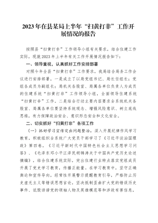 2023年在县某局上半年“扫黄打非”工作开展情况的报告