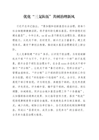 优化“三支队伍”共树治理新风