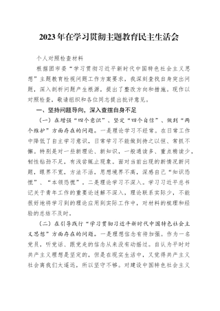 2023年在学习贯彻主题教育民主生活会个人对照检查材料