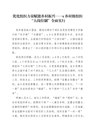 优化组织力量赋能乡村振兴——X乡村级组织“大岗位制”全面实行