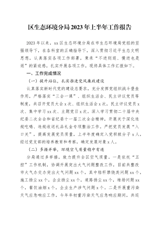 区生态环境分局2023年上半年工作报告（20230806）
