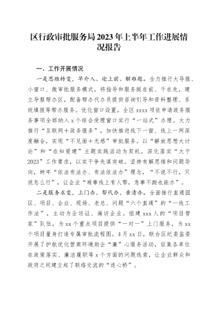 区行政审批服务局2023年上半年工作进展情况报告