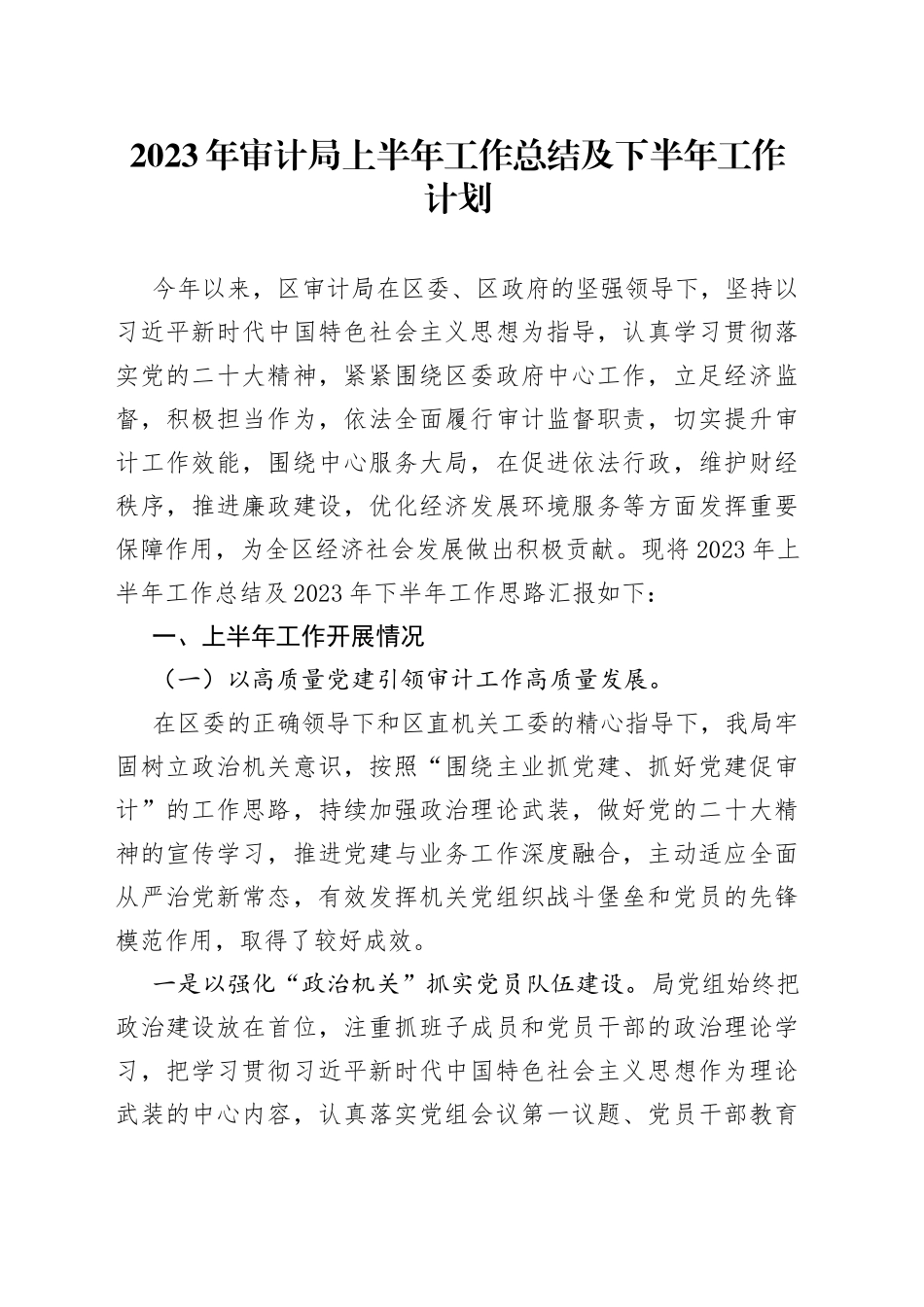 2023年审计局上半年工作总结及下半年工作计划_第1页