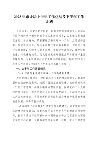 2023年审计局上半年工作总结及下半年工作计划