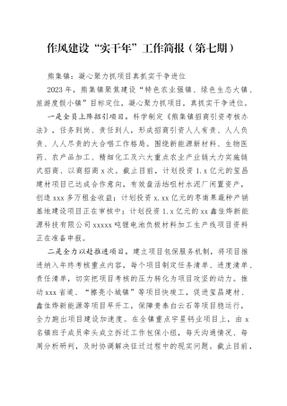 作风建设“实干年”工作简报（第七期）