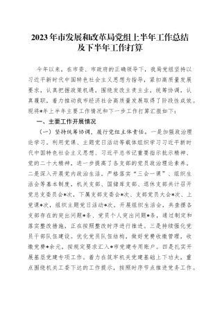 2023年市发展和改革局党组上半年工作总结及下半年工作打算