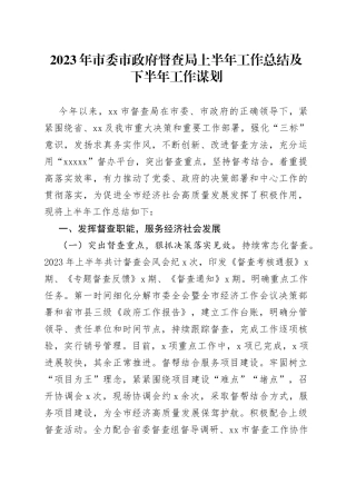 2023年市委市政府督查局上半年工作总结及下半年工作谋划