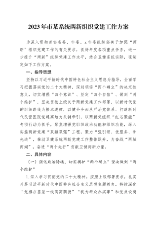 2023年市某系统两新组织党建工作方案(1)