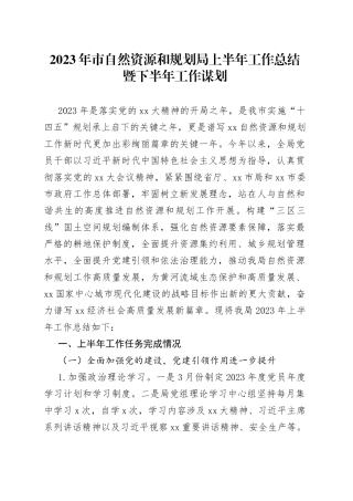 2023年市自然资源和规划局上半年工作总结暨下半年工作谋划