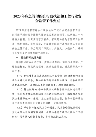 2023年应急管理综合行政执法和工贸行业安全监管工作要点