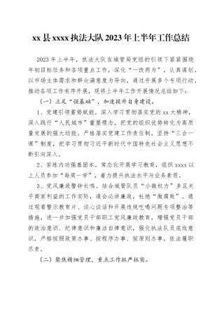 县XXXX执法大队2023年上半年工作总结