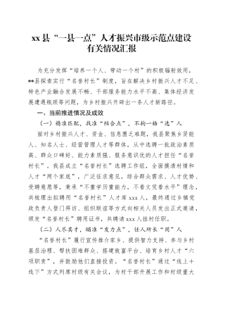 县“一县一点”人才振兴市级示范点建设有关情况汇报