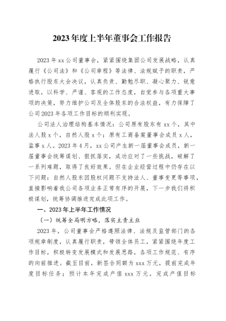 2023年度上半年董事会工作报告