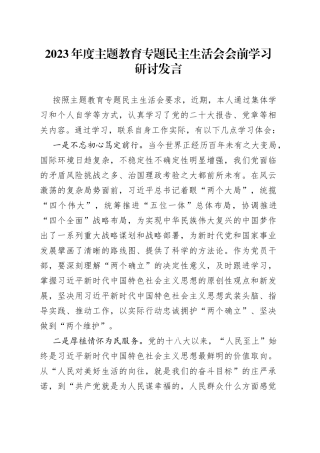 2023年度主题教育专题民主生活会会前学习研讨发言