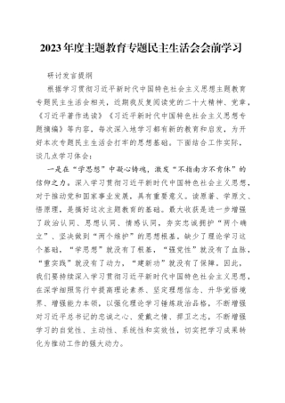 2023年度主题教育专题民主生活会会前学习研讨发言提纲2